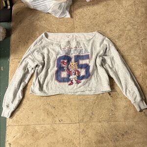 Hollister Gray Cropped Sweatshirt with Arizona Graphic